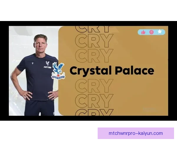 英超2025水晶宫表现稳健，球队状态持续提升引发关注