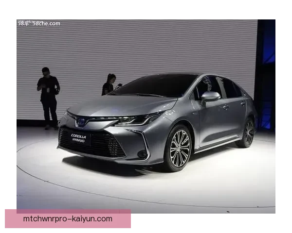 理查利森进球集锦展现其近期表现稳健，值得关注