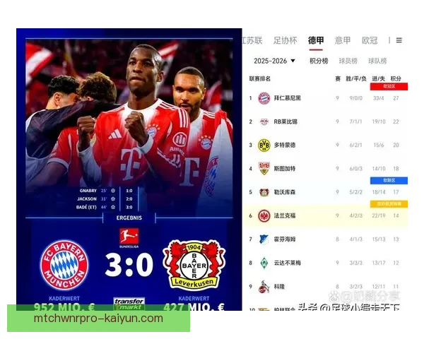 德甲阵容最新情况分析，各球队实力与状态持续变化需关注