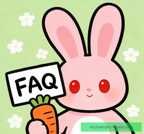 常见问题